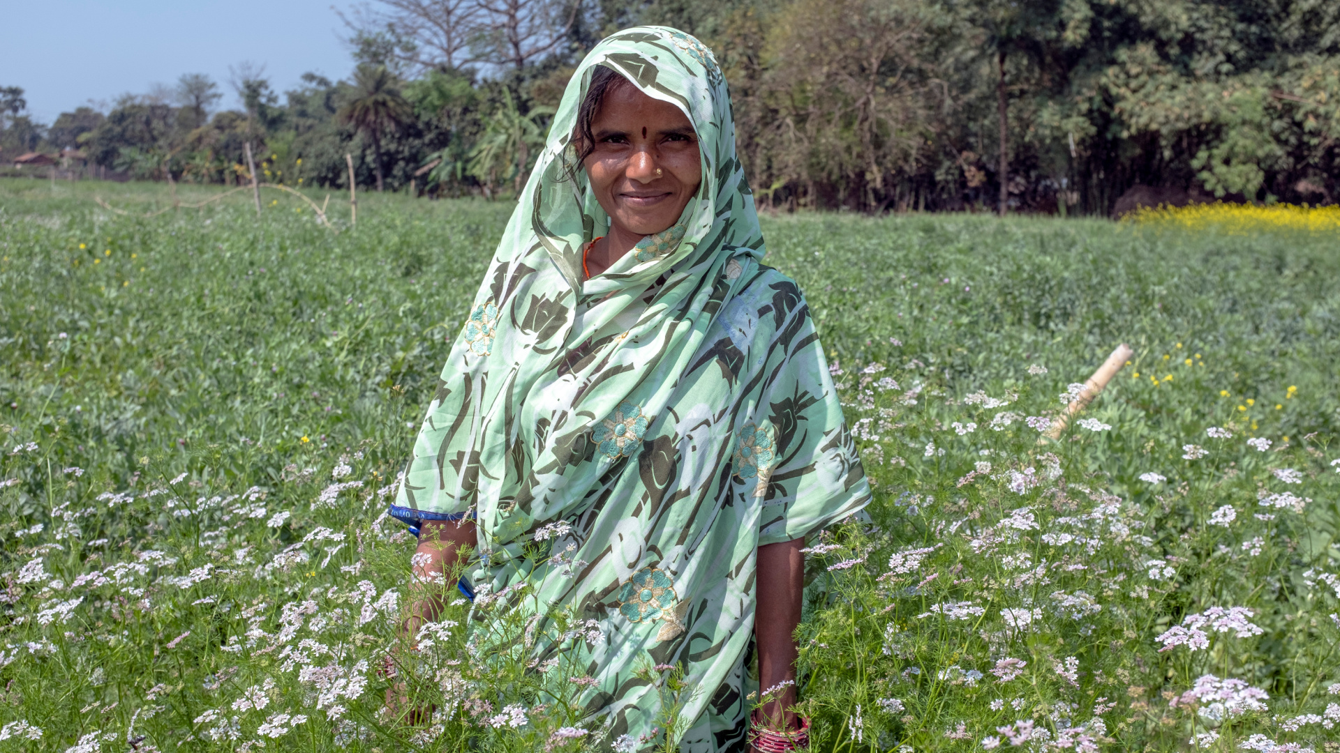 The Ripple Effect of Water and Social Art